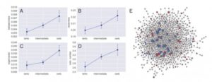 First Evidence That Night Owls Have Bigger Social Networks than Early Risers