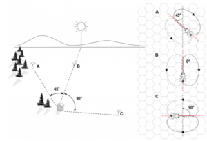 Machine Vision Decodes Honeybee Waggle Dances