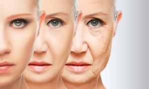 Undoing Aging with Molecular and Cellular Damage Repair