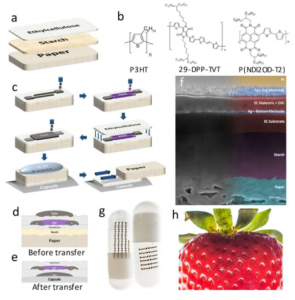 Edible electronics tattooed on your food could help track your health