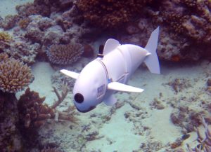 MIT’s Soft Robotic Fish Explores Reefs in Fiji