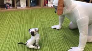 Video Friday: Robot Barber, Untethered iCub, and Aibo’s Best Friend