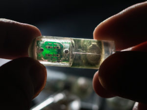 Synthetic Bacteria Drive New Ingestible Gut Sensor