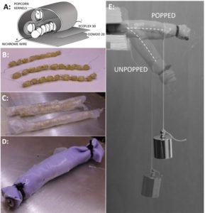 Popcorn-Driven Robotic Actuators