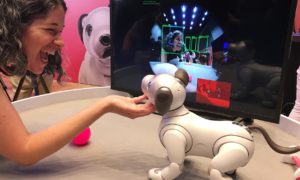 Sony’s Aibo Robot Dog Is Coming to America